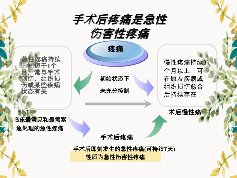 急性疼痛治疗和APS服务_第4页