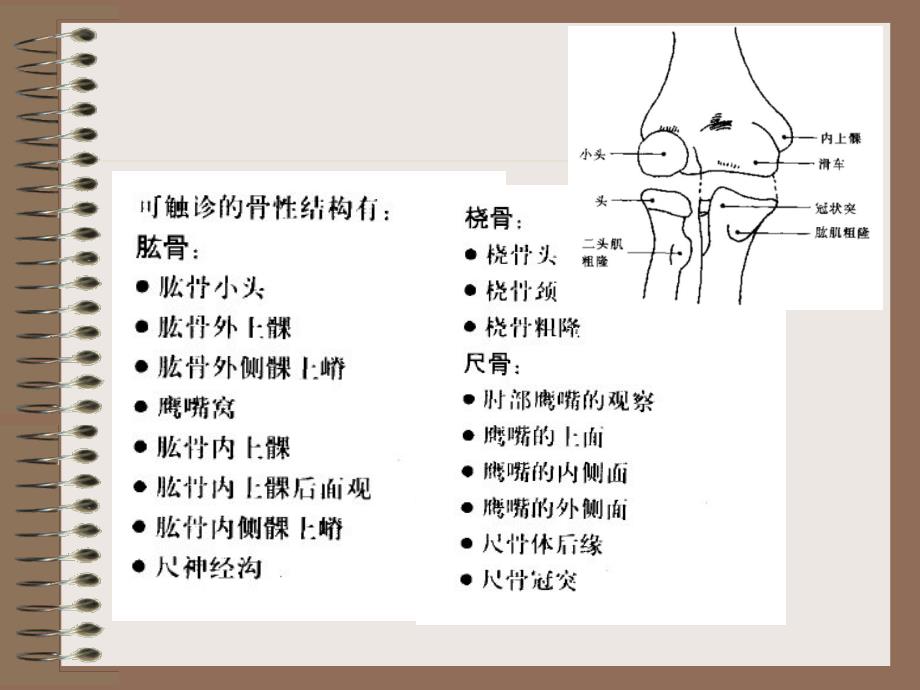 肘部解剖及相关生物力学_第4页