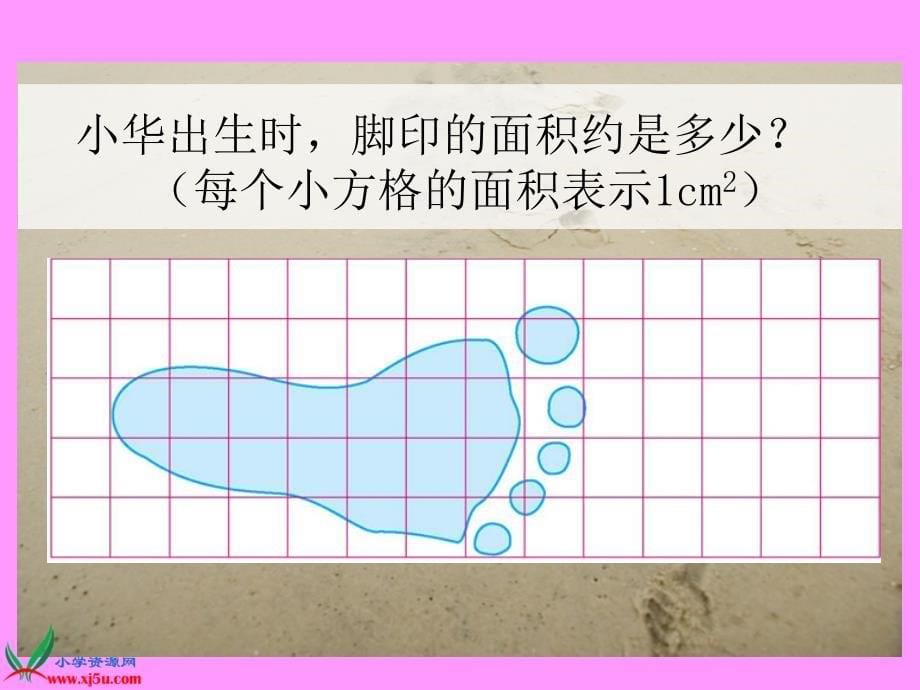 北师大版数学五年级上册《成长的脚印》PPT课件_第5页