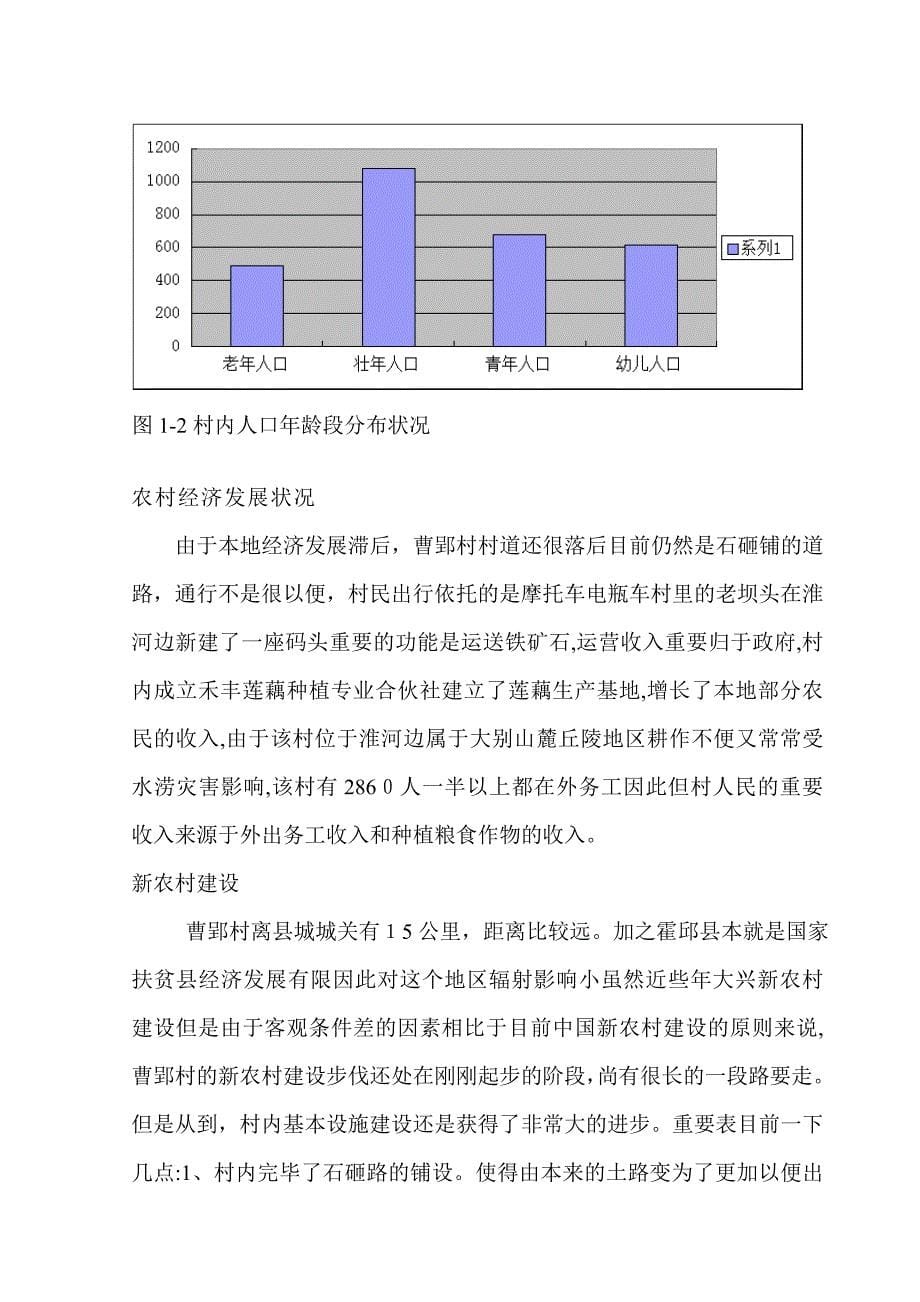 毛概社会实践报告格式_第5页