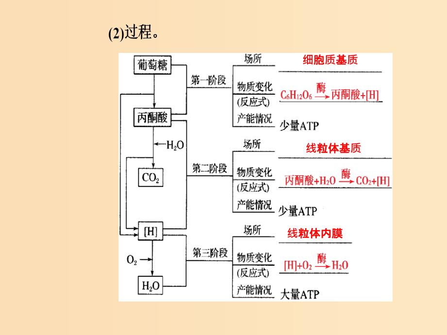 2019版高考生物总复习 第三单元 细胞的能量供应和利用 第2讲 细胞呼吸课件.ppt_第4页