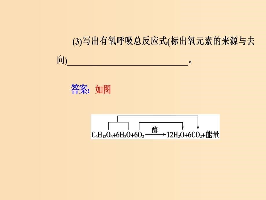 2019版高考生物总复习 第三单元 细胞的能量供应和利用 第2讲 细胞呼吸课件.ppt_第5页