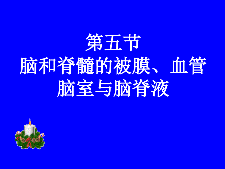 脑和脊髓被膜血管及脑脊液循环_第1页