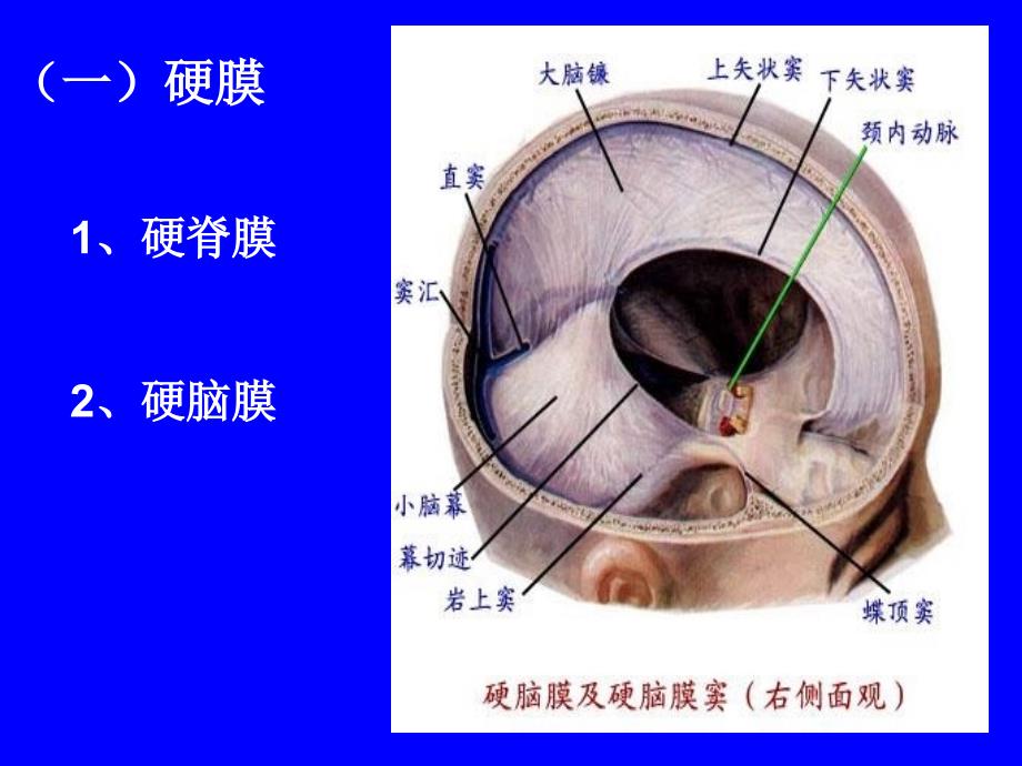 脑和脊髓被膜血管及脑脊液循环_第4页