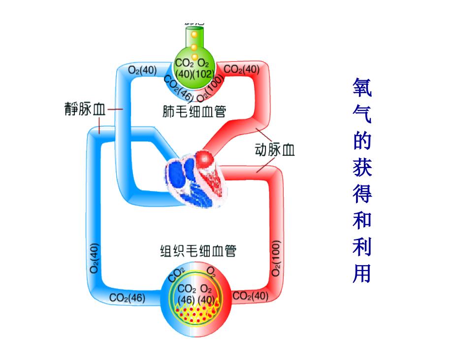 缺氧护理措施_第4页