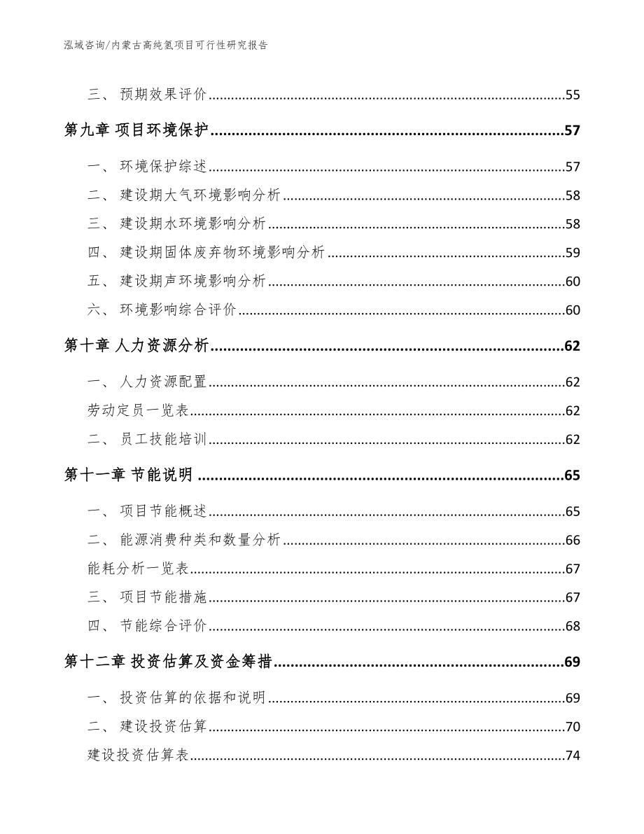 内蒙古高纯氢项目可行性研究报告（模板参考）_第4页