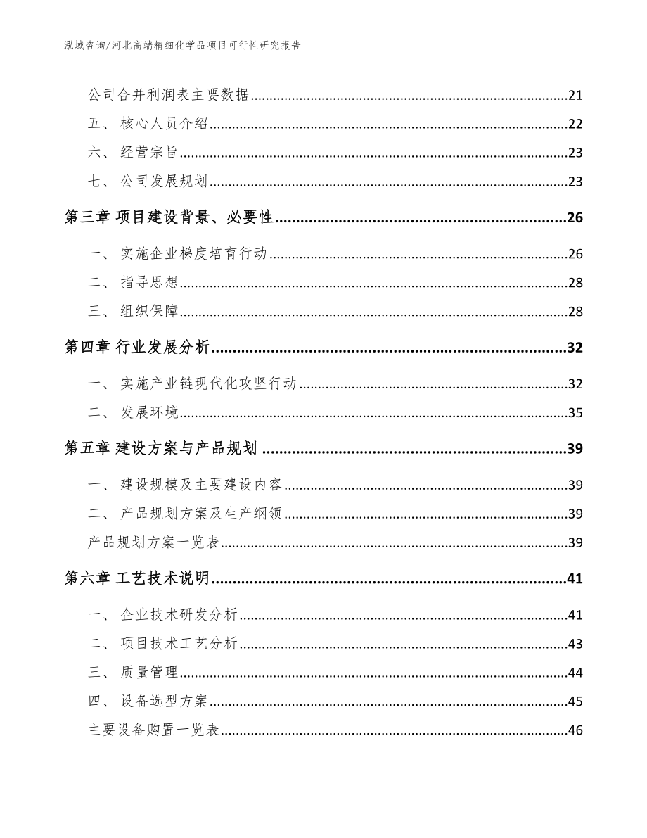 河北高端精细化学品项目可行性研究报告_第3页