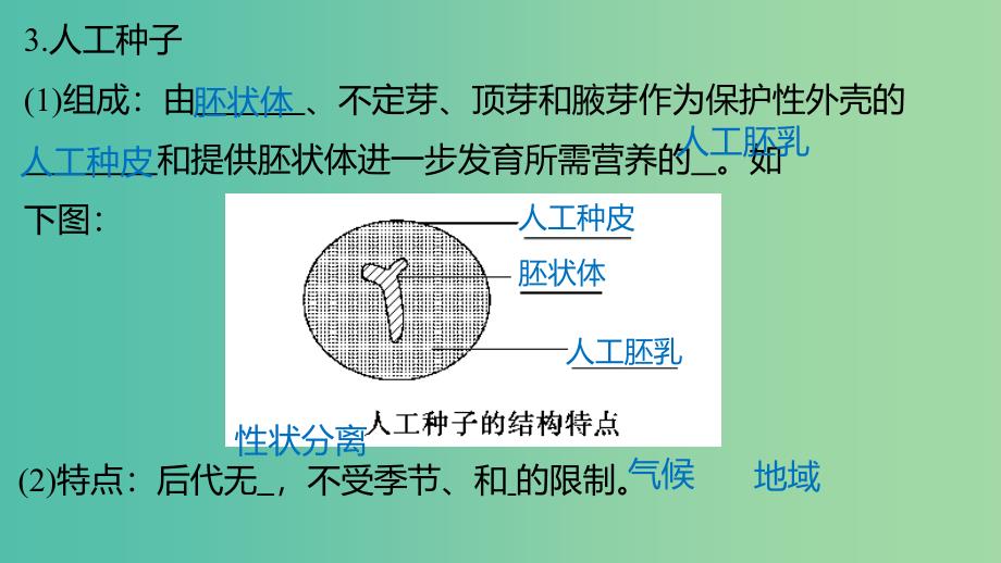 高中生物 专题二 细胞工程 2.1.2 植物细胞工程的实际应用课件 新人教版选修3.ppt_第4页