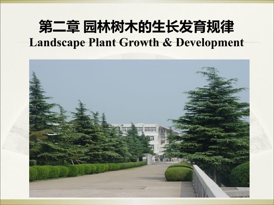 植物学课件：第二章 园林树木的生长发育规律_第1页