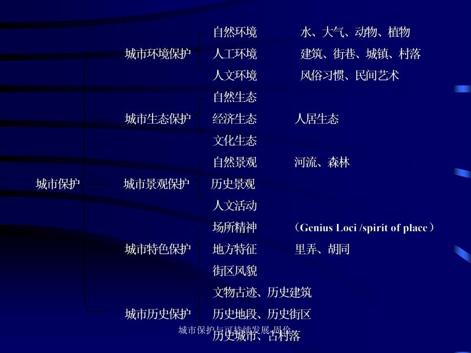城市保护与可持续发展周俭课件_第2页