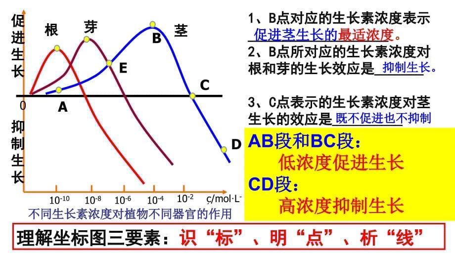 生长素的生理作用自用_第5页