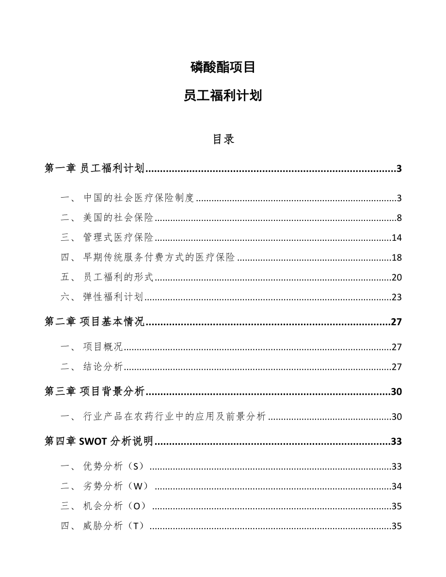 磷酸酯项目员工福利计划【参考】_第1页