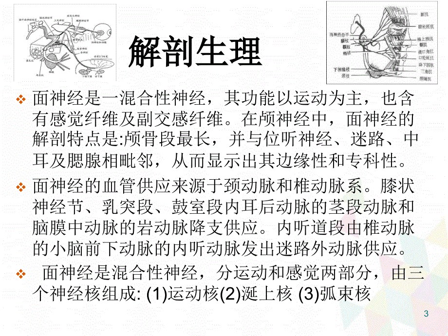 （优质课件）面神经炎病人的护理_第3页