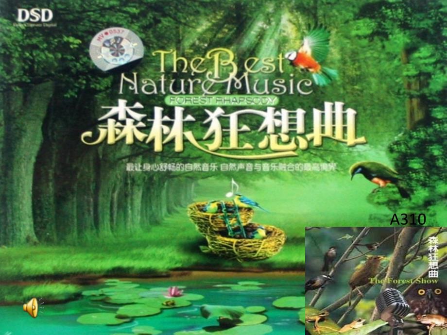 森林狂想曲分享_第1页