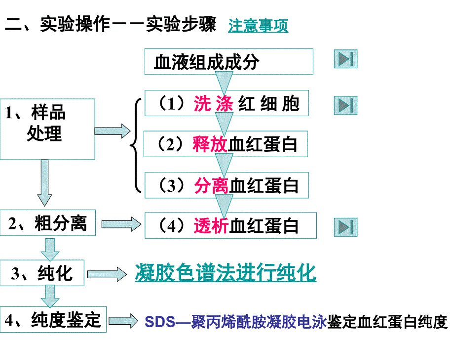 血红蛋白的分离和提取.ppt_第4页