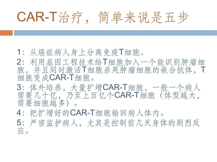 cart细胞免疫疗法资料讲解课件_第5页