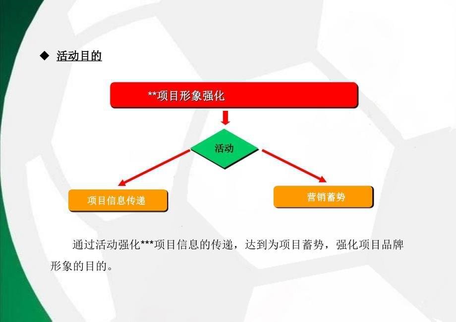 《世界杯&#183;足球之夜啤酒狂欢活动方案》_第5页