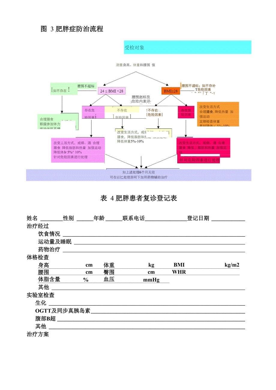 肥胖监测评估表_第5页