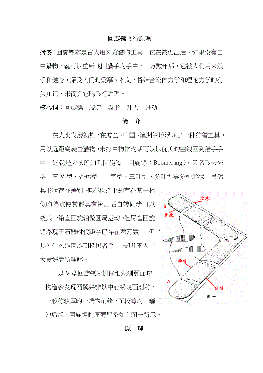 回旋镖飞行原理_第1页