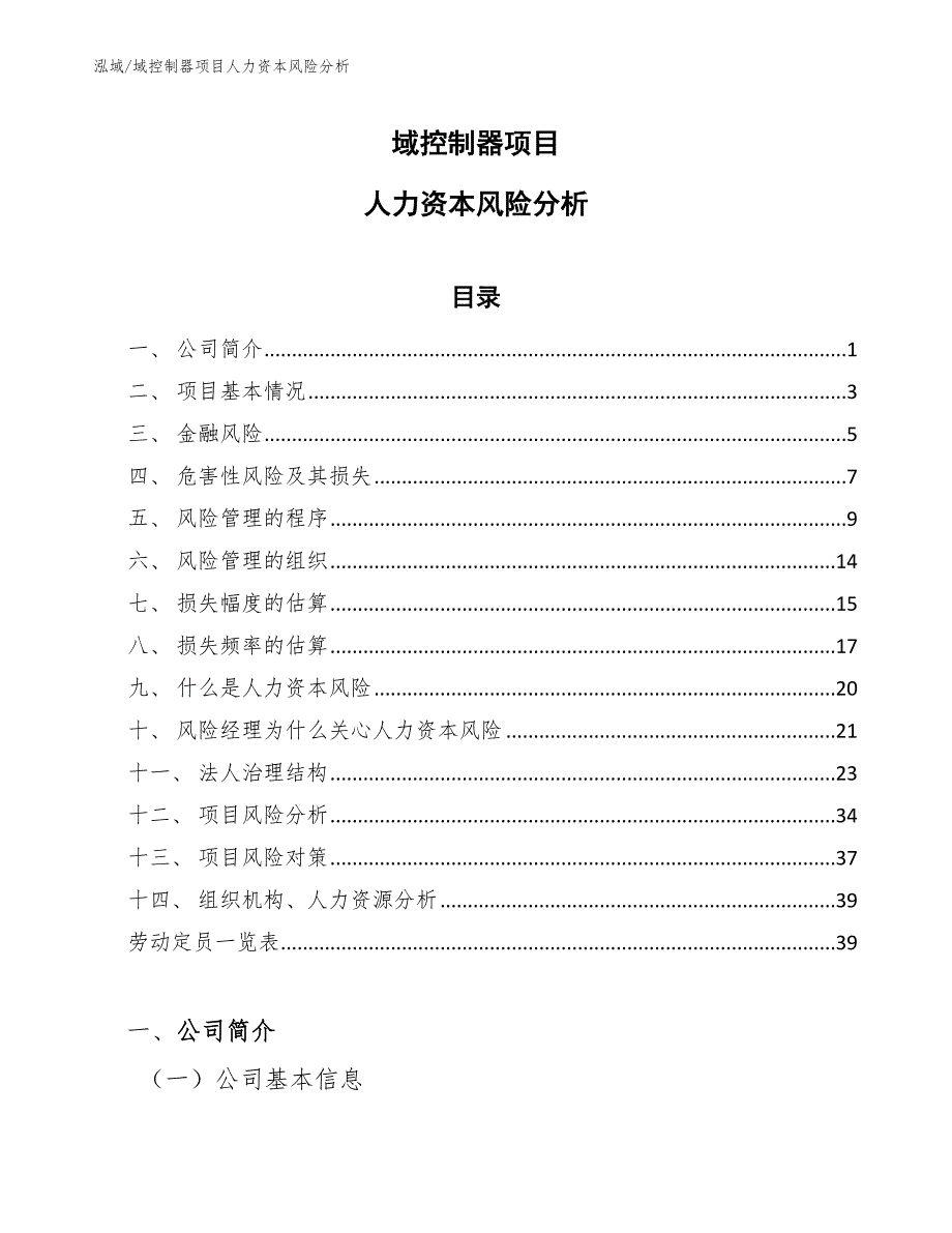 域控制器项目人力资本风险分析_第1页