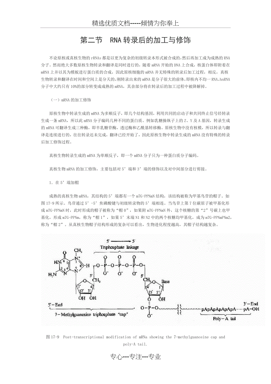 RNA转录后的加工与修饰_第1页