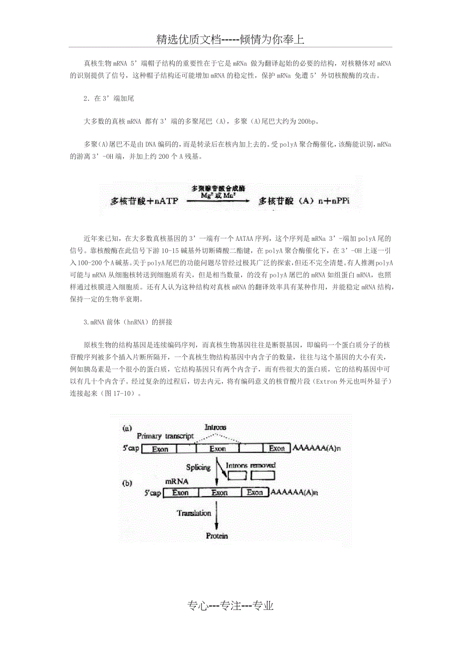 RNA转录后的加工与修饰_第2页