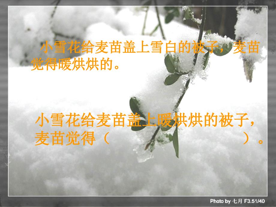 浙教版语文二上雪被子ppt课件1_第3页