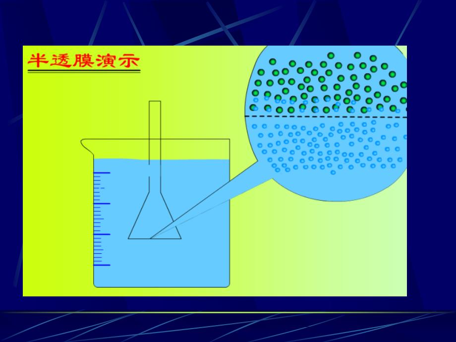 细胞的物质输入和输出PPT课件_第4页