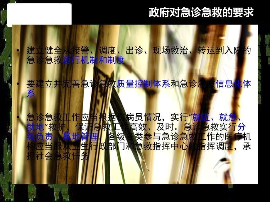 急救体系建设与质量控制_第5页