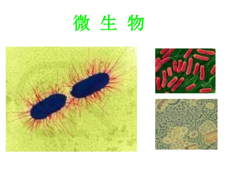 世界因生命而精彩_第3页