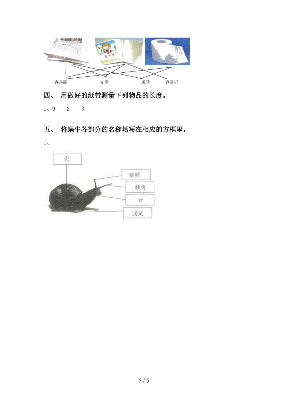 新人教版一年级科学上册期中考试题及答案2.doc_第5页