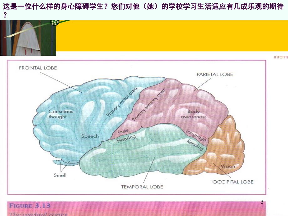 普通学校如何帮助特殊学生ppt课件_第3页