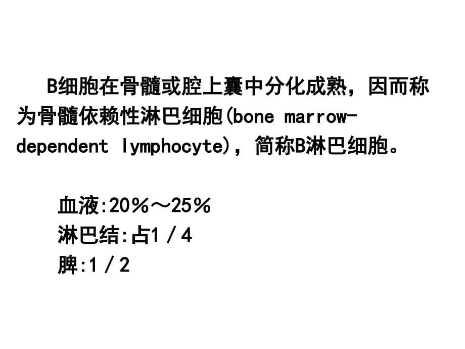 T淋巴细胞和B淋巴细胞_第5页