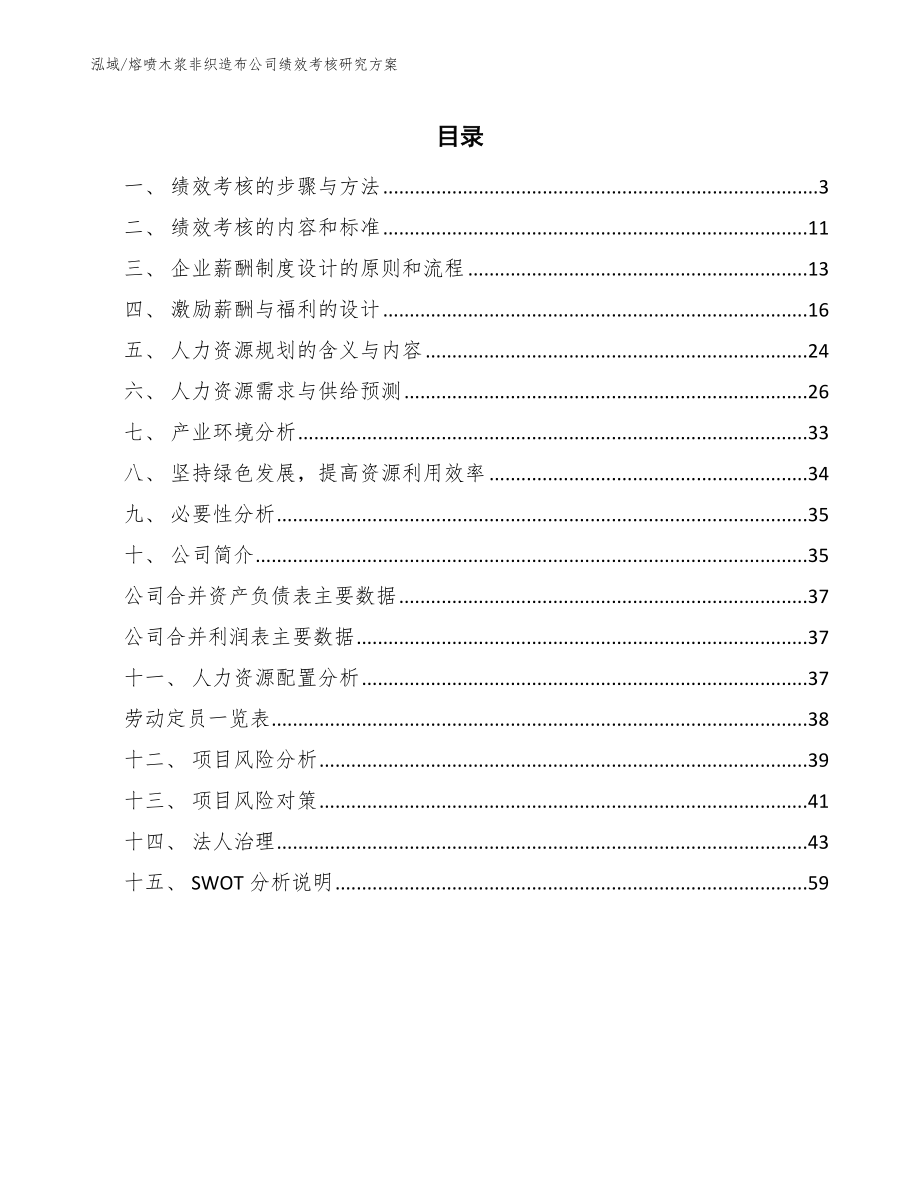 熔喷木浆非织造布公司绩效考核研究方案_范文_第2页