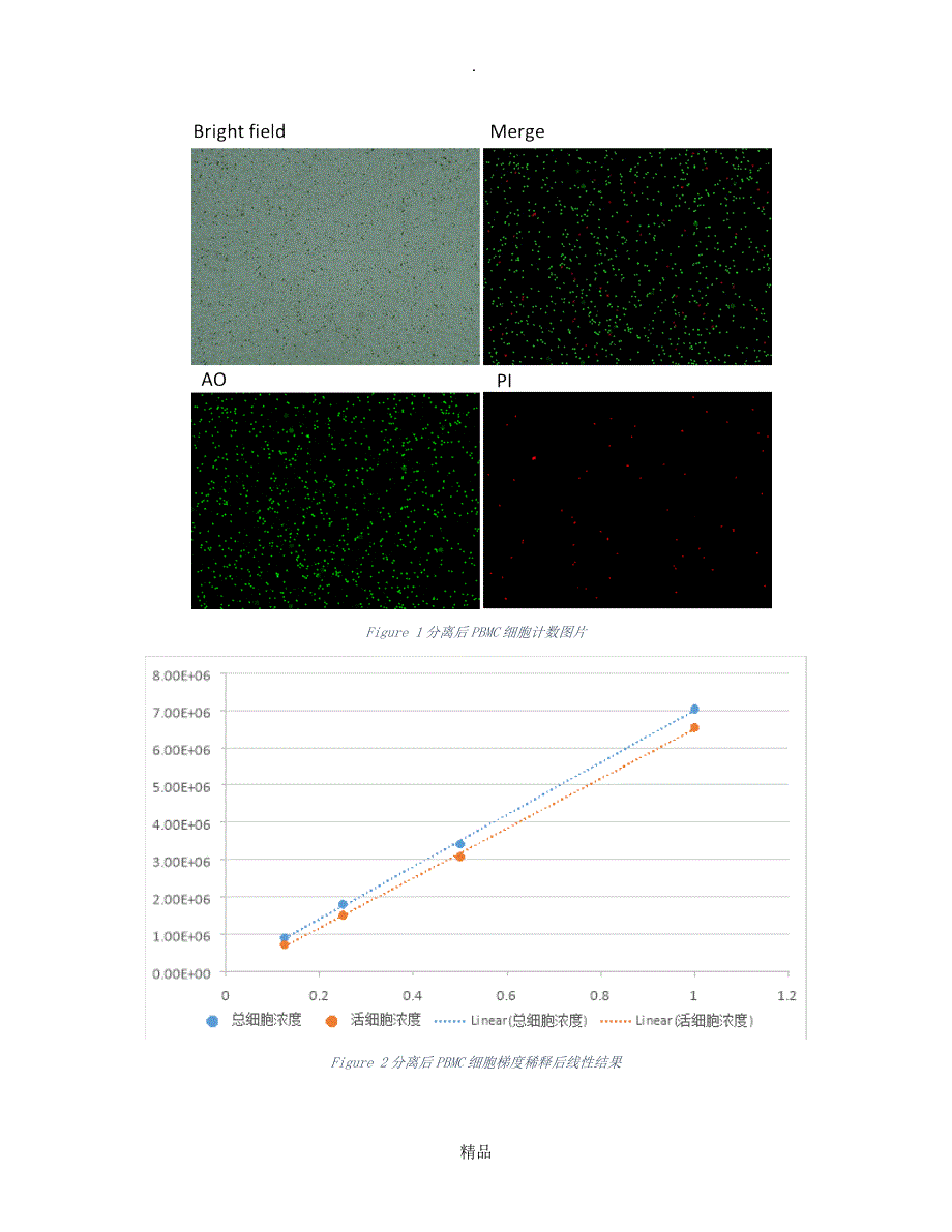 CountstarRigel全自动细胞荧光分析仪对PBMC细胞精确计数及活力分析_第2页