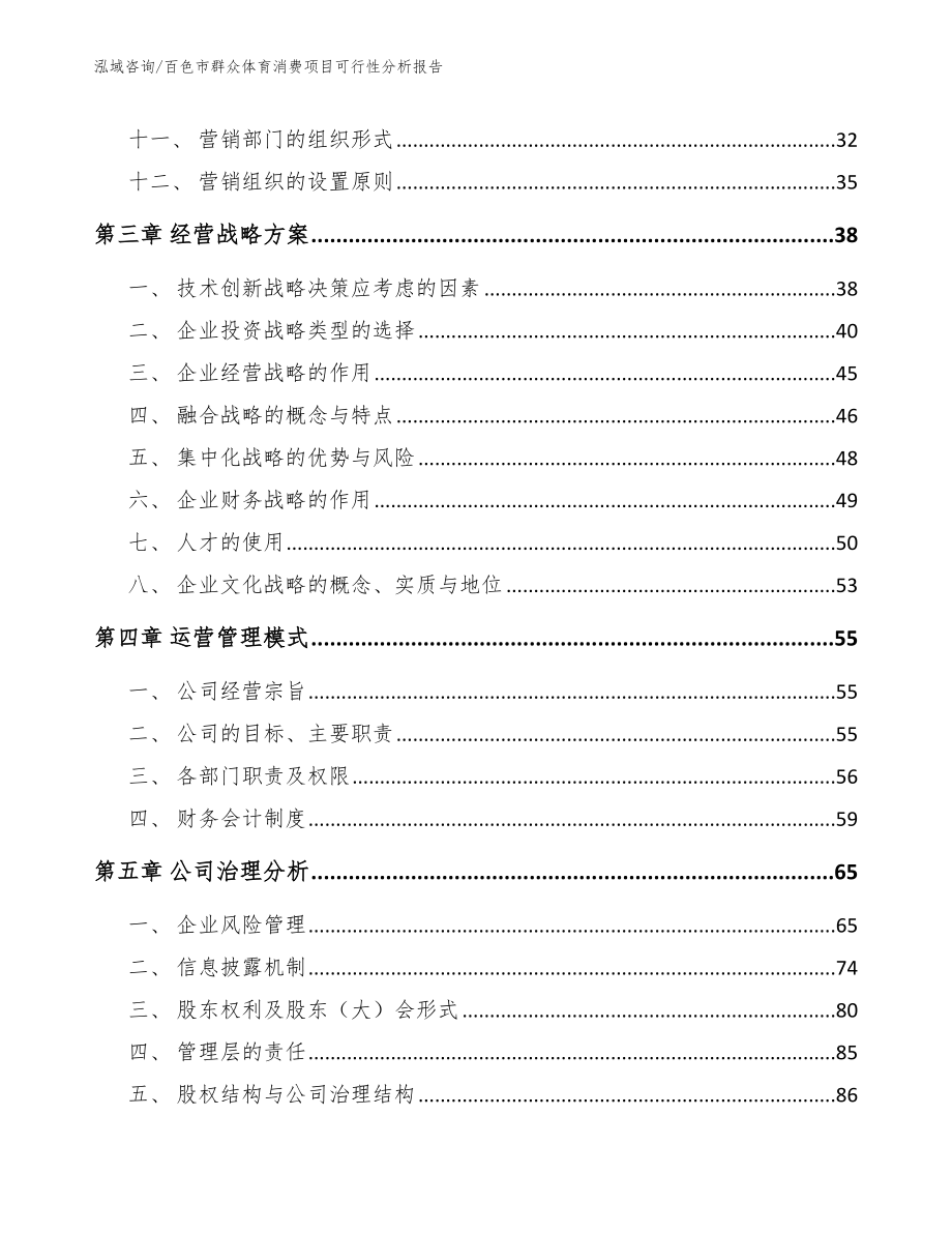 百色市群众体育消费项目可行性分析报告_模板_第2页