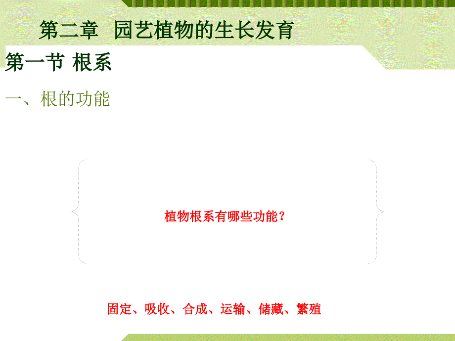 第二章 果树生长发育第一节根系 ppt课件_第1页