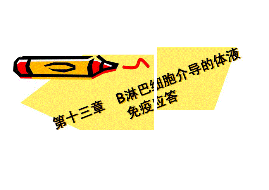 第十三章B淋巴细胞介导的体液免疫应答_第1页