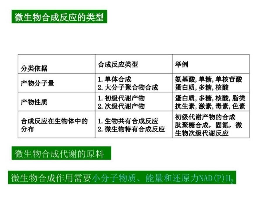 最新微生物的合成代谢PPT课件_第3页