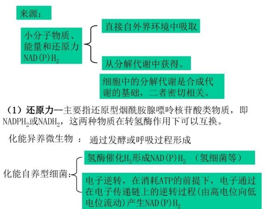 最新微生物的合成代谢PPT课件_第4页