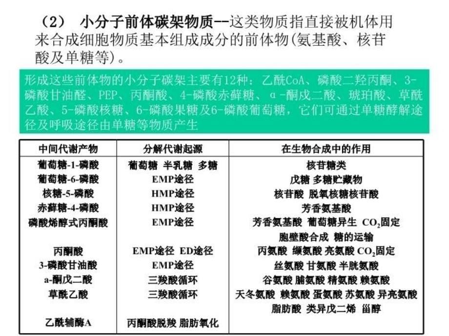 最新微生物的合成代谢PPT课件_第5页