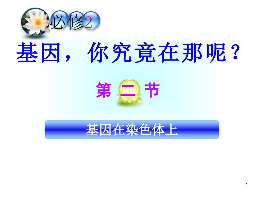 基因在染色体上ppt---获奖课件_第1页