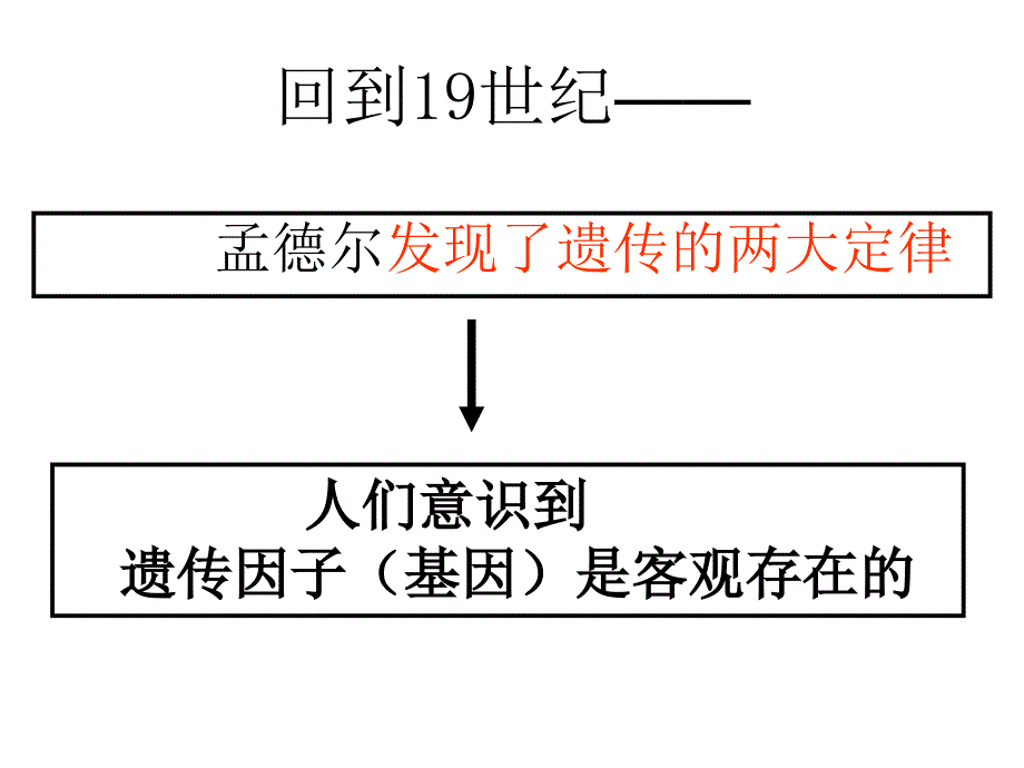 基因在染色体上ppt---获奖课件_第3页