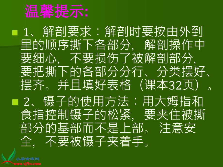 青岛版小学科学五年级下册植物的花课件1_第2页