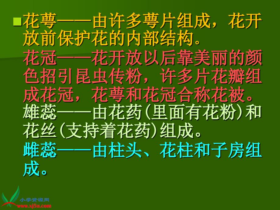 青岛版小学科学五年级下册植物的花课件1_第3页