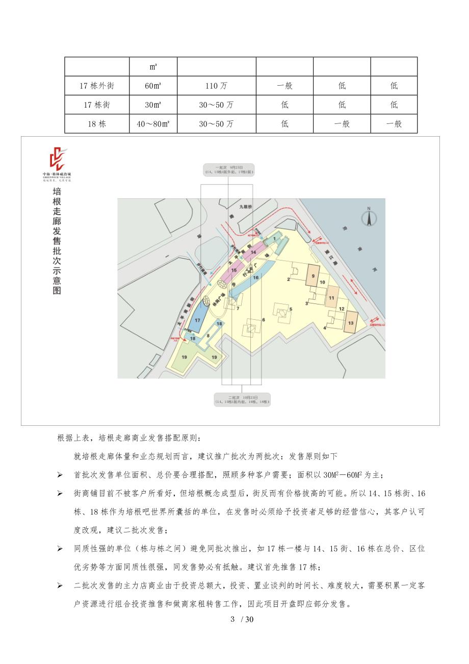 中海格林威治城项目商业物业运作报告_第4页