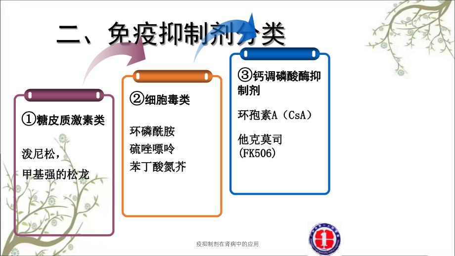 疫抑制剂在肾病中的应用_第2页