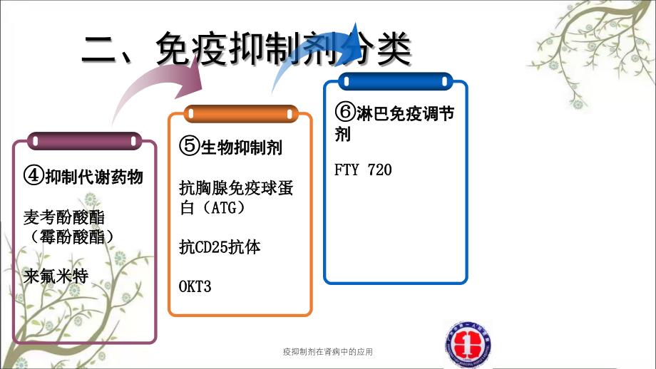 疫抑制剂在肾病中的应用_第3页