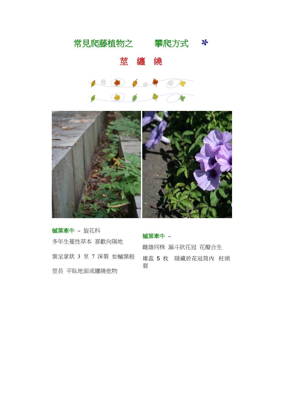 攀援植物,常用藤本.doc_第1页