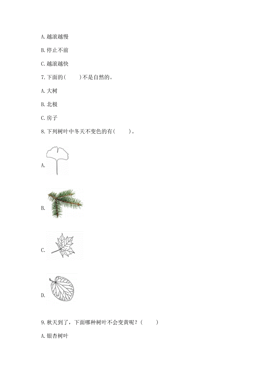 苏教版一年级上册科学期末测试卷(易错题).docx_第2页